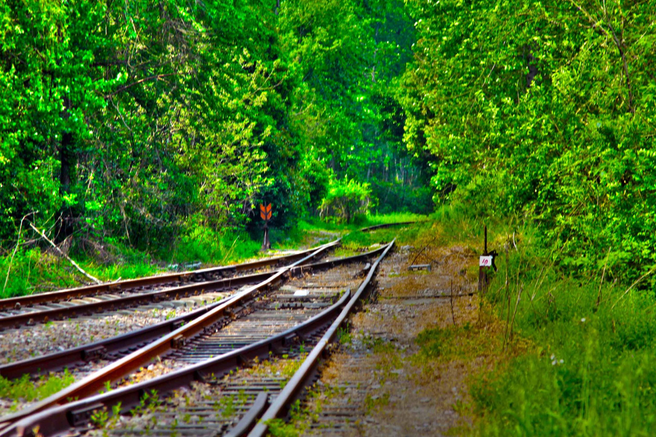 我省今年年內(nèi)有4條鐵路線投入運營更多出行選擇！