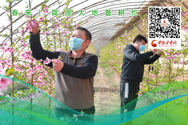 海報丨春來！隴原大地春耕忙