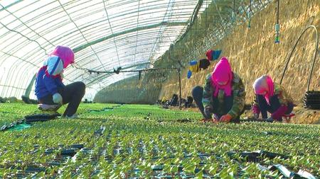 【抓實抓細疫情防控 精準推進復工復產(chǎn)】解難題 穩(wěn)就業(yè) 保生產(chǎn) 促發(fā)展 ——永昌縣多舉措助推企業(yè)復工復產(chǎn)