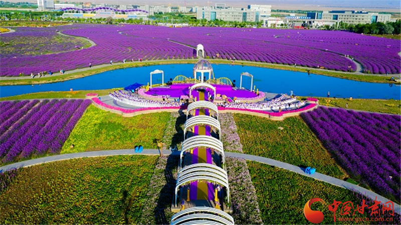 金昌市積極謀劃文旅項目 著力打好產(chǎn)業(yè)復工翻身仗