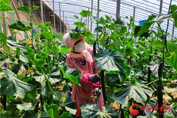 【甘肅省決戰(zhàn)決勝脫貧攻堅(jiān)】張掖甘州區(qū)：國道黨旗紅 串起鄉(xiāng)村致富產(chǎn)業(yè)帶