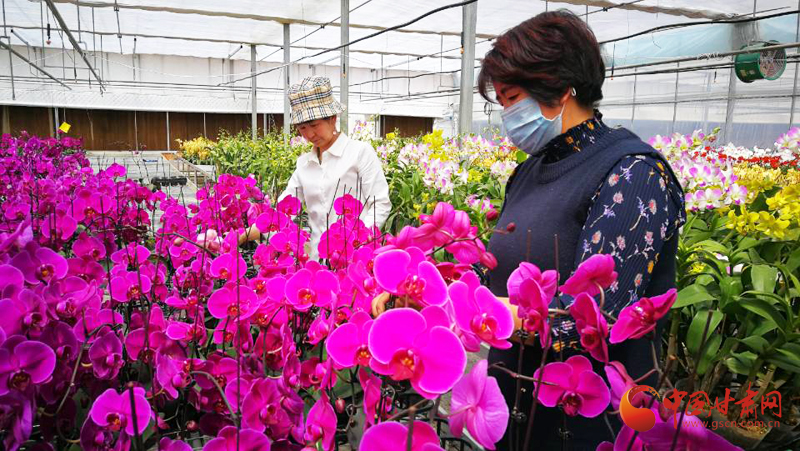 張掖民樂建設現(xiàn)代絲路田園綜合體 打造鄉(xiāng)村振興“新引擎”