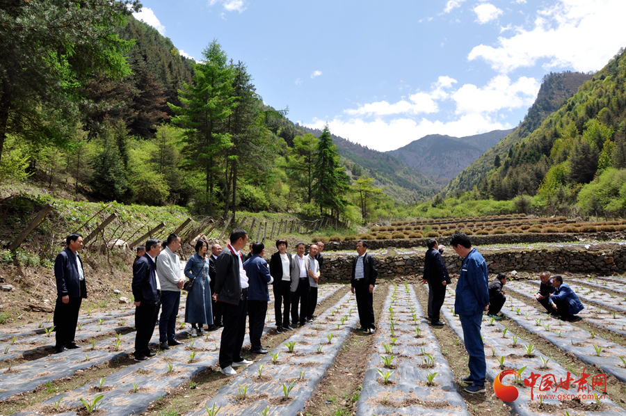 白龍江博峪河保護局開展產(chǎn)業(yè)發(fā)展、義務勞動成果現(xiàn)場觀摩交流活動