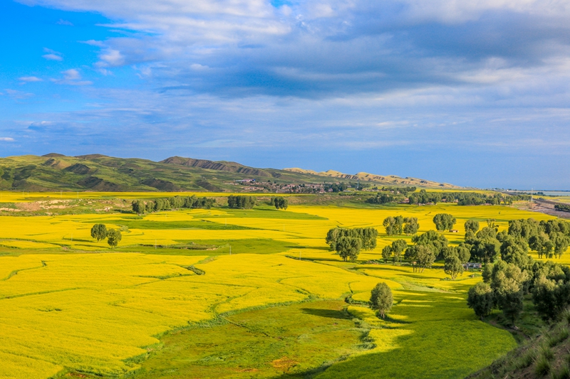 創(chuàng)意海報(bào)丨甘肅的美，你來(lái)了才知道