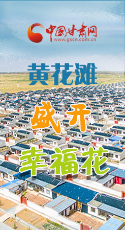 【跟著總書記看甘肅】長圖|武威黃花灘盛開幸?；?