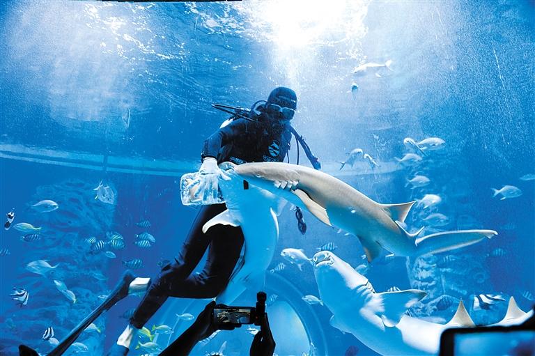 蘭州海洋公園 金昌火星1號基地 這個暑假我們“上天入?！?>
        </a><em>蘭州海洋公園 金昌火星1號基地 這個暑假我們“上天入海”</em></li>
    <li><a  target=