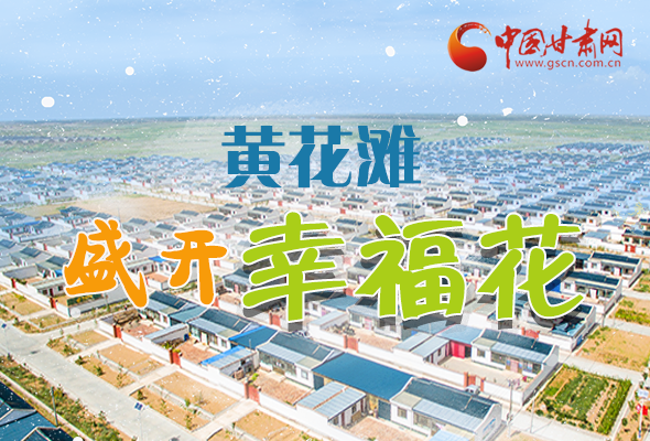 【跟著總書記看甘肅】長圖|武威黃花灘盛開幸?；?