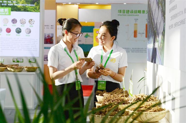 定西，從“千年藥鄉(xiāng)”邁向“中國(guó)藥都”