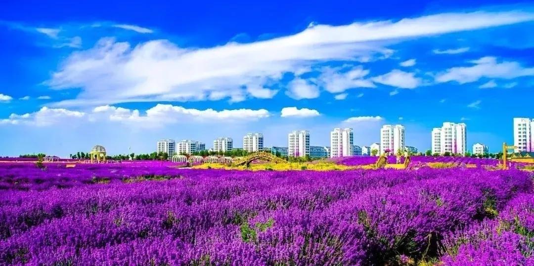 喜訊！金昌蟬聯(lián)全國文明城市