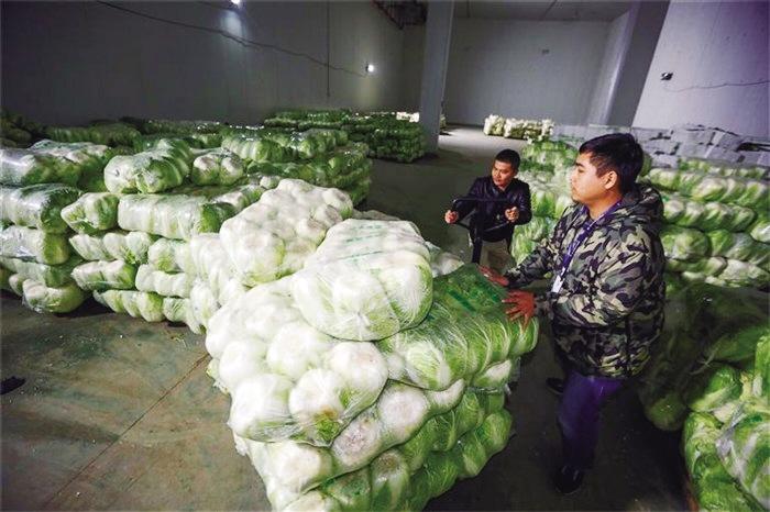 蘭州市已儲(chǔ)備1萬(wàn)噸冬春蔬菜以耐貯存、易周轉(zhuǎn)品種為主