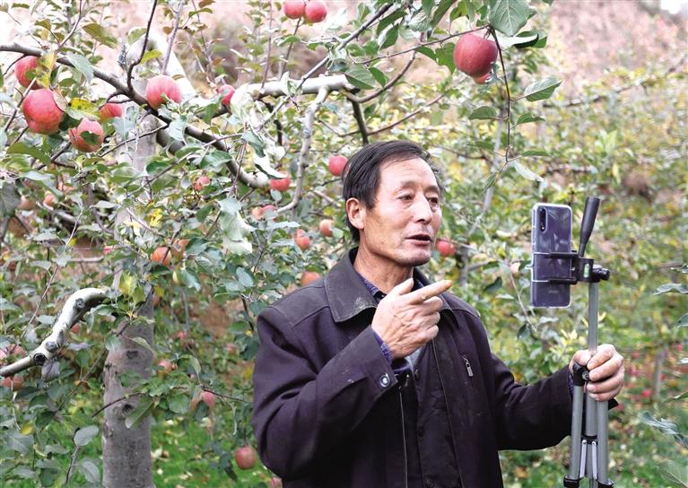 隴南禮縣蘋果5分鐘賣出1.3萬(wàn)斤