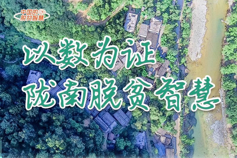 【中國的脫貧智慧】以數(shù)為證！隴南脫貧智慧來了！