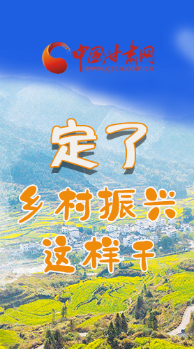 圖解|定了！全面推進(jìn)鄉(xiāng)村振興這樣干！