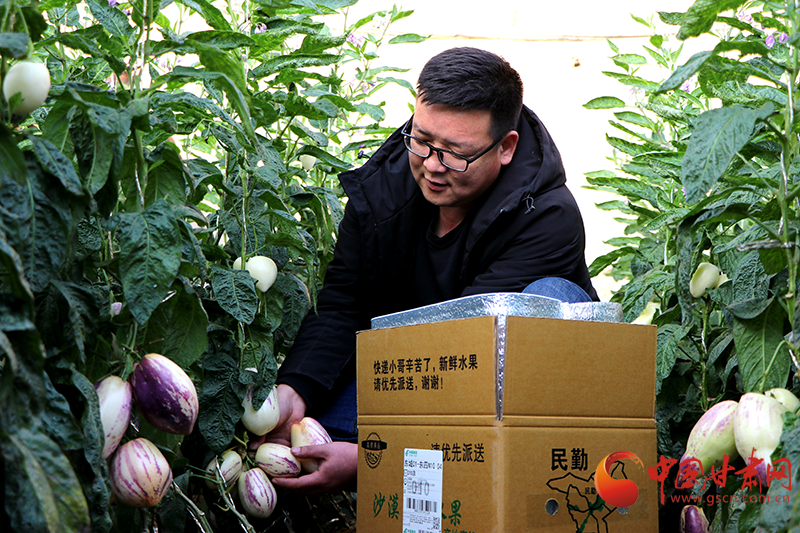 鋪路架橋惠農(nóng)家 民勤郵政打造服務(wù)鄉(xiāng)村振興“生態(tài)圈”