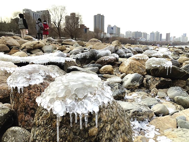 蘭州：水母上河灘？