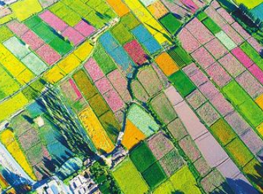 【邁好第一步 見到新氣象】甘肅發(fā)展特色產(chǎn)業(yè)推動脫貧攻堅(jiān)銜接鄉(xiāng)村振興報(bào)道之五  織密產(chǎn)業(yè)“安全網(wǎng)” 農(nóng)戶吃上“定心丸”