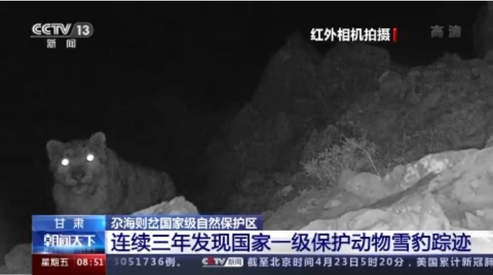 “大貓”出沒(méi)！甘肅尕海則岔保護(hù)區(qū)連續(xù)三年發(fā)現(xiàn)雪豹蹤跡