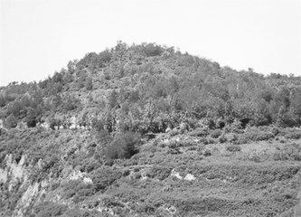 歷史眼丨張果老是正寧人？他與甘肅福緣不淺