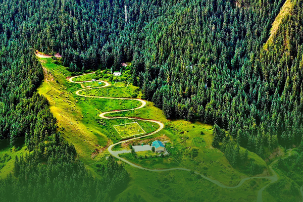 海報(bào)|祁連山保護(hù)區(qū)生態(tài)環(huán)境問題整改全面完成！