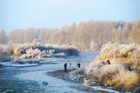 武威市石羊河國(guó)家濕地公園出現(xiàn)霧凇景觀(guān)