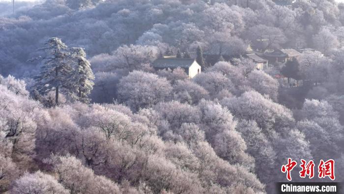 圖為霧凇美景。　徐振華 攝