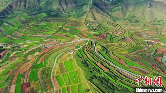 秋日里，榆中縣馬坡鄉(xiāng)千畝梯田，不同農(nóng)作物漸趨成熟，呈現(xiàn)出多種色彩，宛若大地的“調(diào)色盤”。　劉曉波 攝