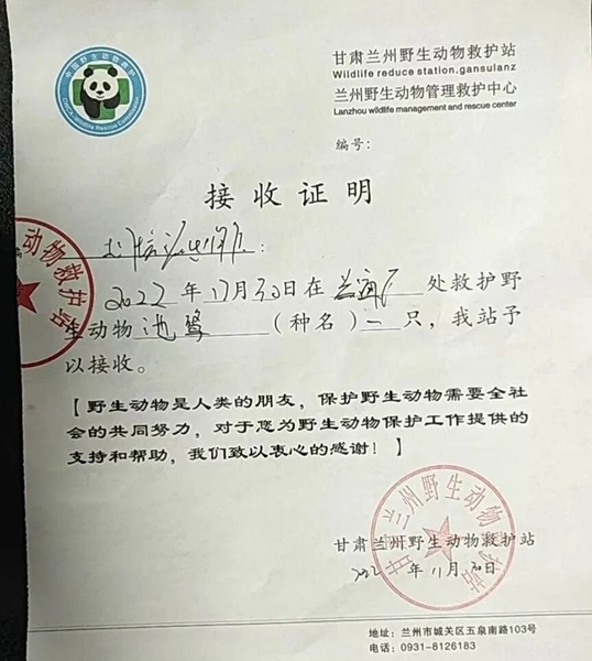 受到救助的池鷺被蘭州野生動(dòng)物保護(hù)站接收。（蘭州市公安局七里河分局供圖）