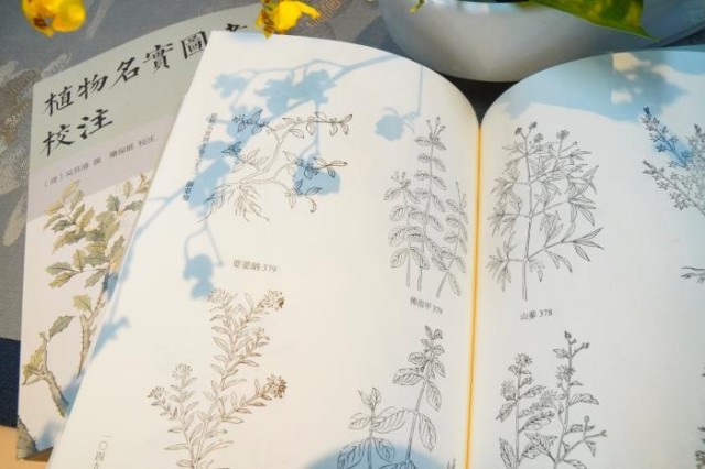 《植物名實圖考校注》內(nèi)頁。圖片來源：中華書局供圖