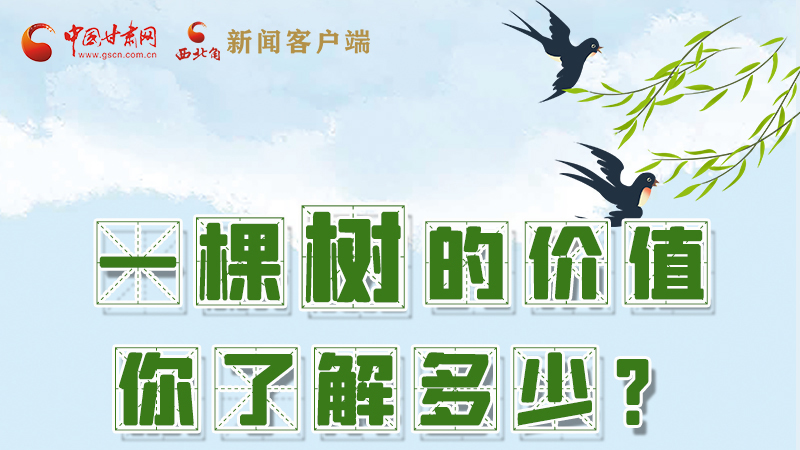 圖解|一棵樹的價值你了解多少?來看！