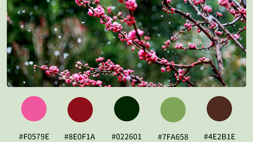 微海報(bào)|收藏！色卡里的春日甘肅