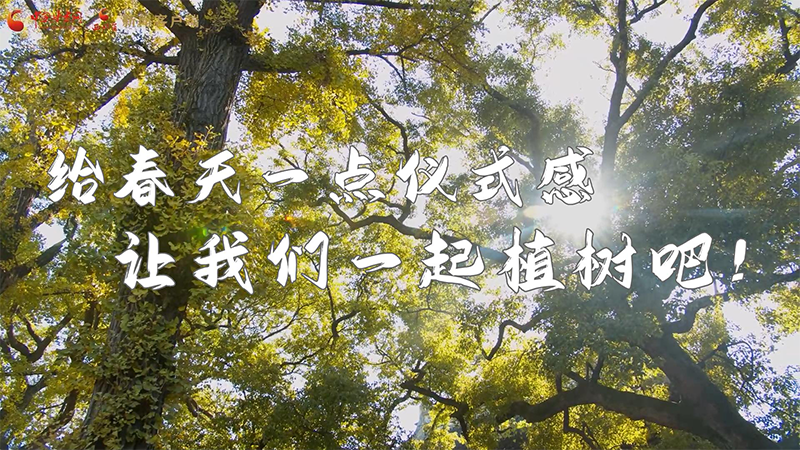 短視頻|給春天一點儀式感，讓我們一起植樹吧！