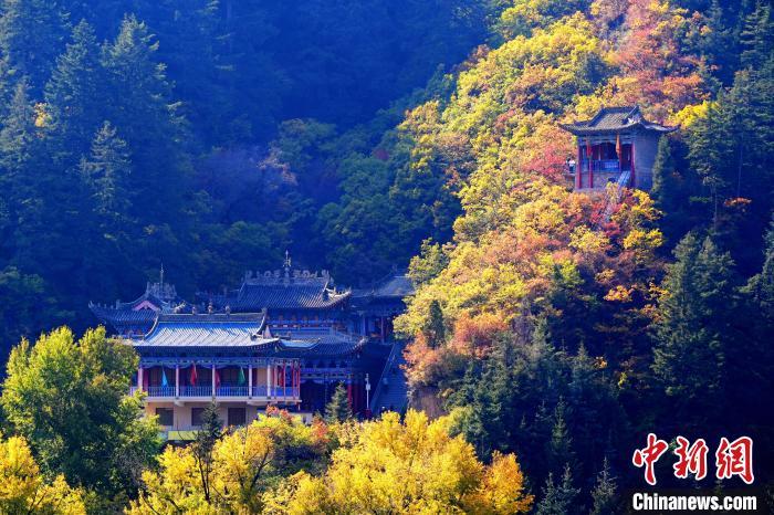 深秋，位于蘭州市榆中縣的興隆山景色如畫(huà)。宮衛(wèi)紅 攝