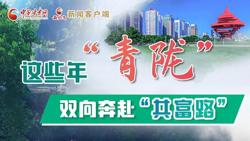 【江河奔流·青隴協(xié)作譜新篇】這些年，“青隴”雙向奔赴“共富路”