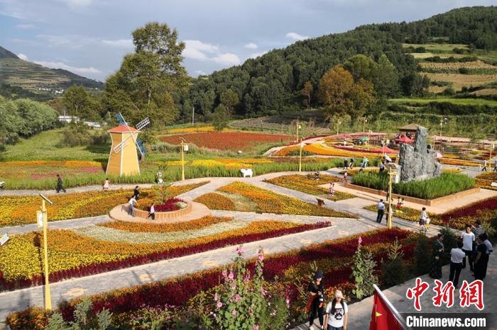 圖為航拍甘肅甘南臨潭縣八角鎮(zhèn)，花海吸引游人。(資料圖)高展 攝