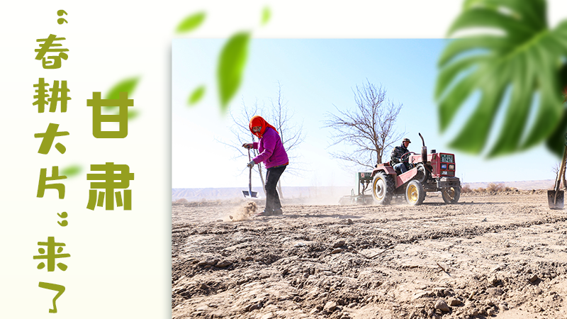 【甘快看】海報|瞧！甘肅“春耕大片”來了