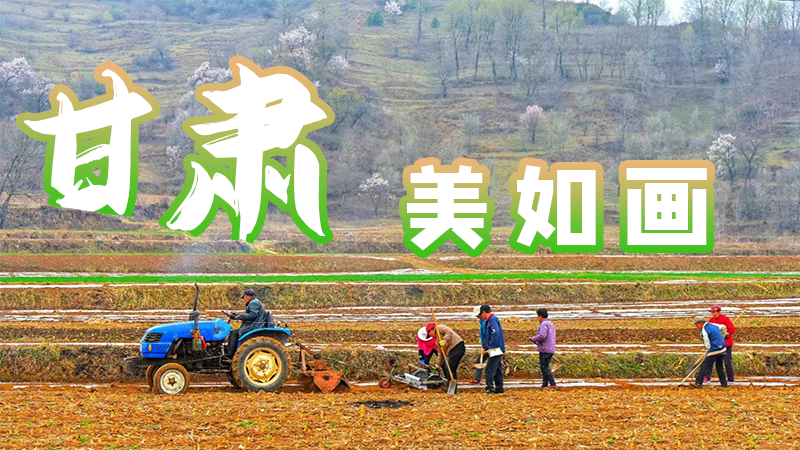 微海報(bào)|甘肅，美如畫