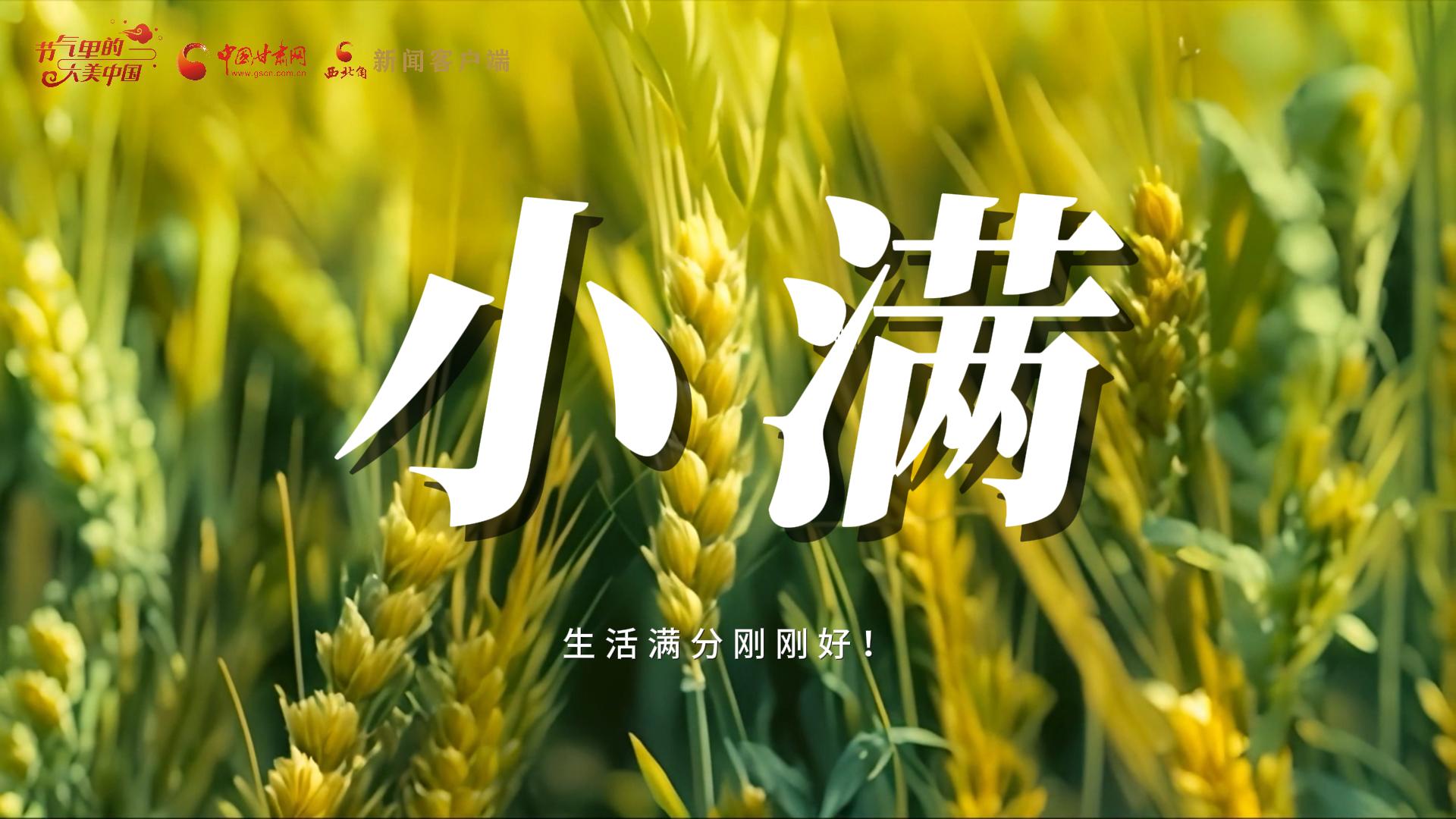 【節(jié)氣里的大美甘肅·小滿】生活滿分剛剛好！