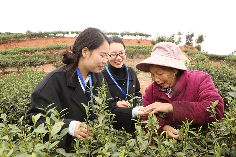 1739143909839545.jpeg W020250210263749560112.jpeg