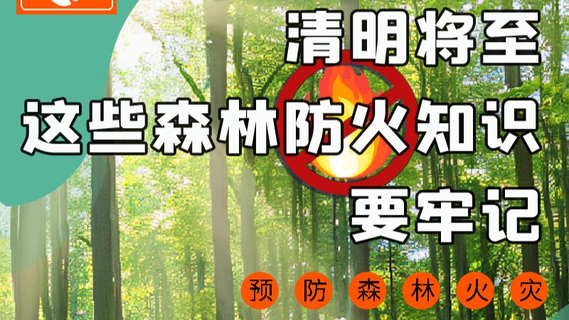 【甘快看】圖解|緊繃“安全弦”！清明，這些森林防火知識(shí)要牢記