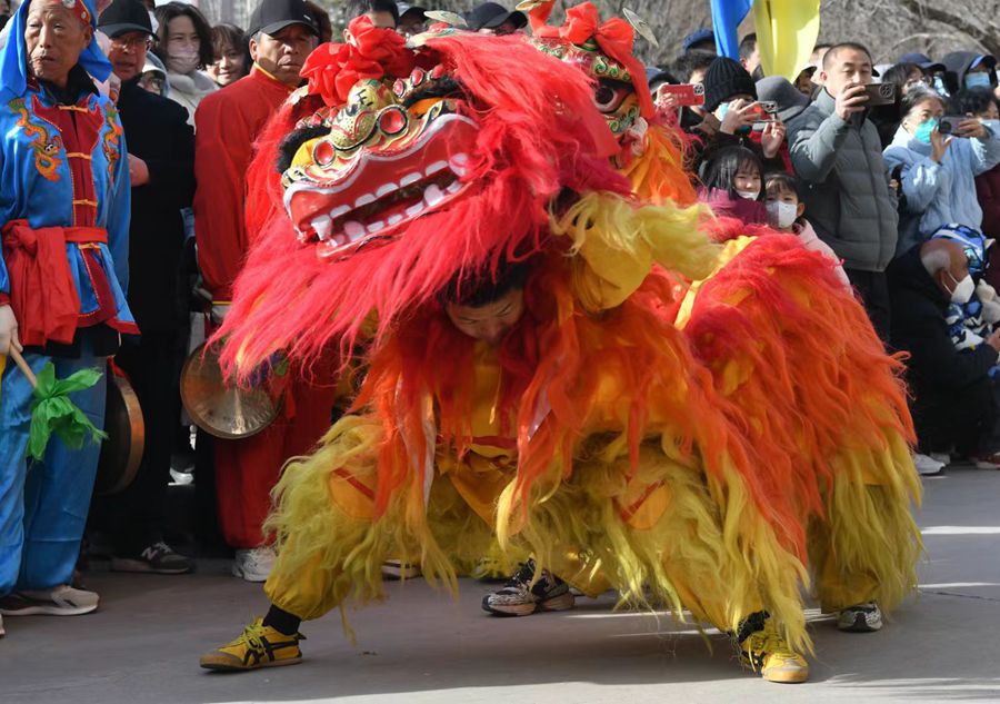 蘭州北獅表演現(xiàn)場(chǎng)。受訪者供圖