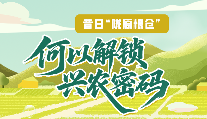 【理響中國·話隴點(diǎn)睛（3）】昔日“隴原糧倉”，何以解鎖“興農(nóng)密碼”
