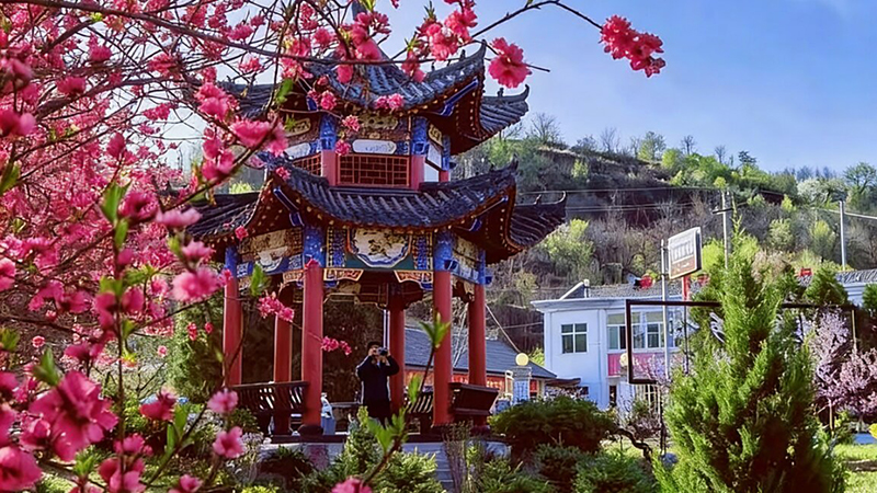 靈臺(tái)：春日經(jīng)濟(jì)煥生機(jī) 農(nóng)文旅融合促增收